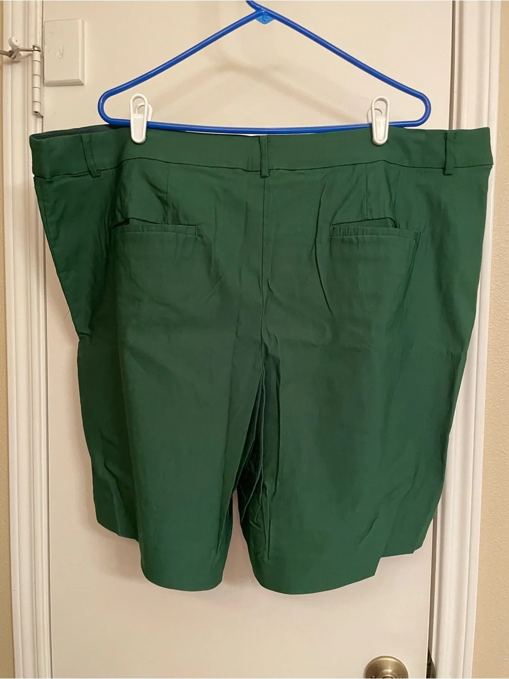 NEW Lane Bryant Shorts
